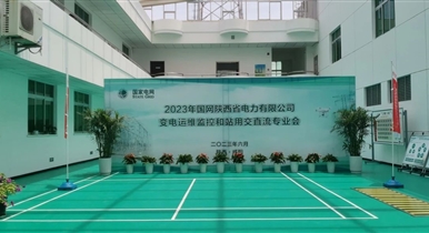 國網(wǎng)陜西省電力公司變電運維監(jiān)控和站用交直流專業(yè)會圓滿成功