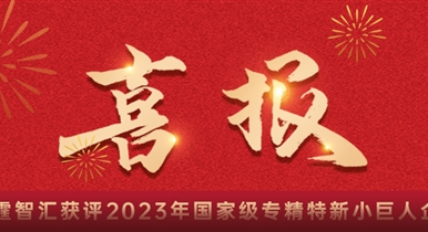 喜報！瑞霆智匯獲評2023年度專精特新小巨人企業(yè)！